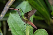 mindo cloud forest tours